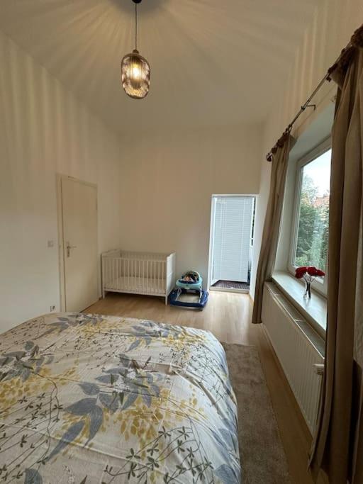 Aldstadt 2,5 Modern Elite Location Balcony Apartment